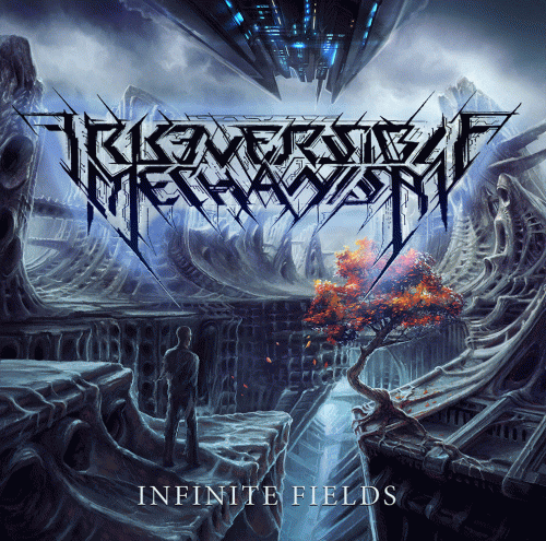 Irreversible Mechanism : Infinite Fields